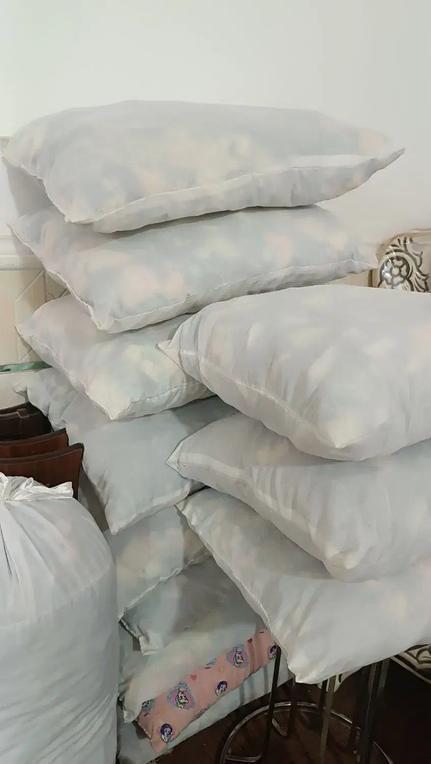 بالشت|رختخواب، بالش، پتو|زابل, |دیوار