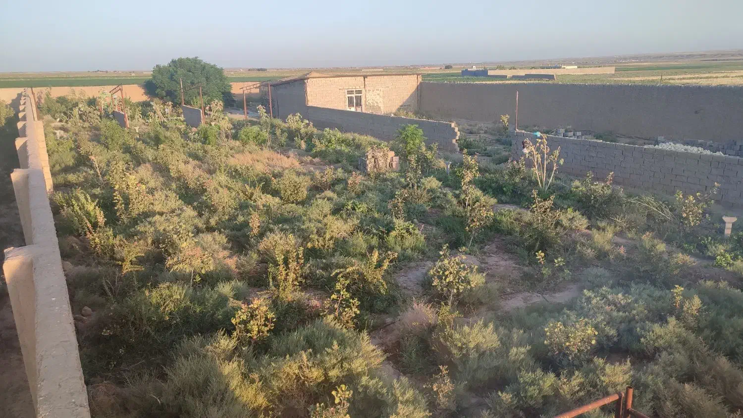 فروش ۲۸۰۰متر باغ و دامداری در تربت جام|فروش دفتر صنعتی، کشاورزی، تجاری|تربت جام, میان جام|دیوار