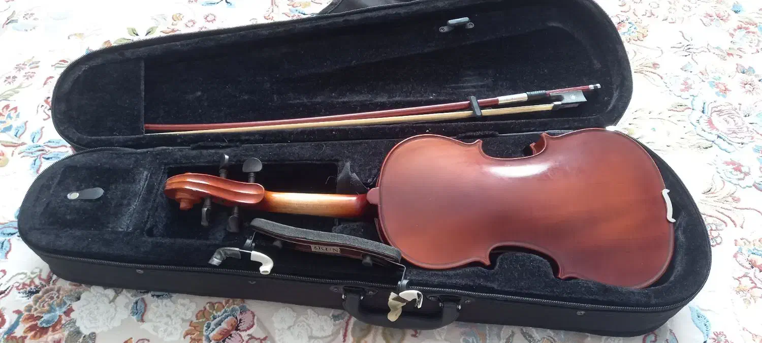 ویولون|ویولن|سنندج, |دیوار