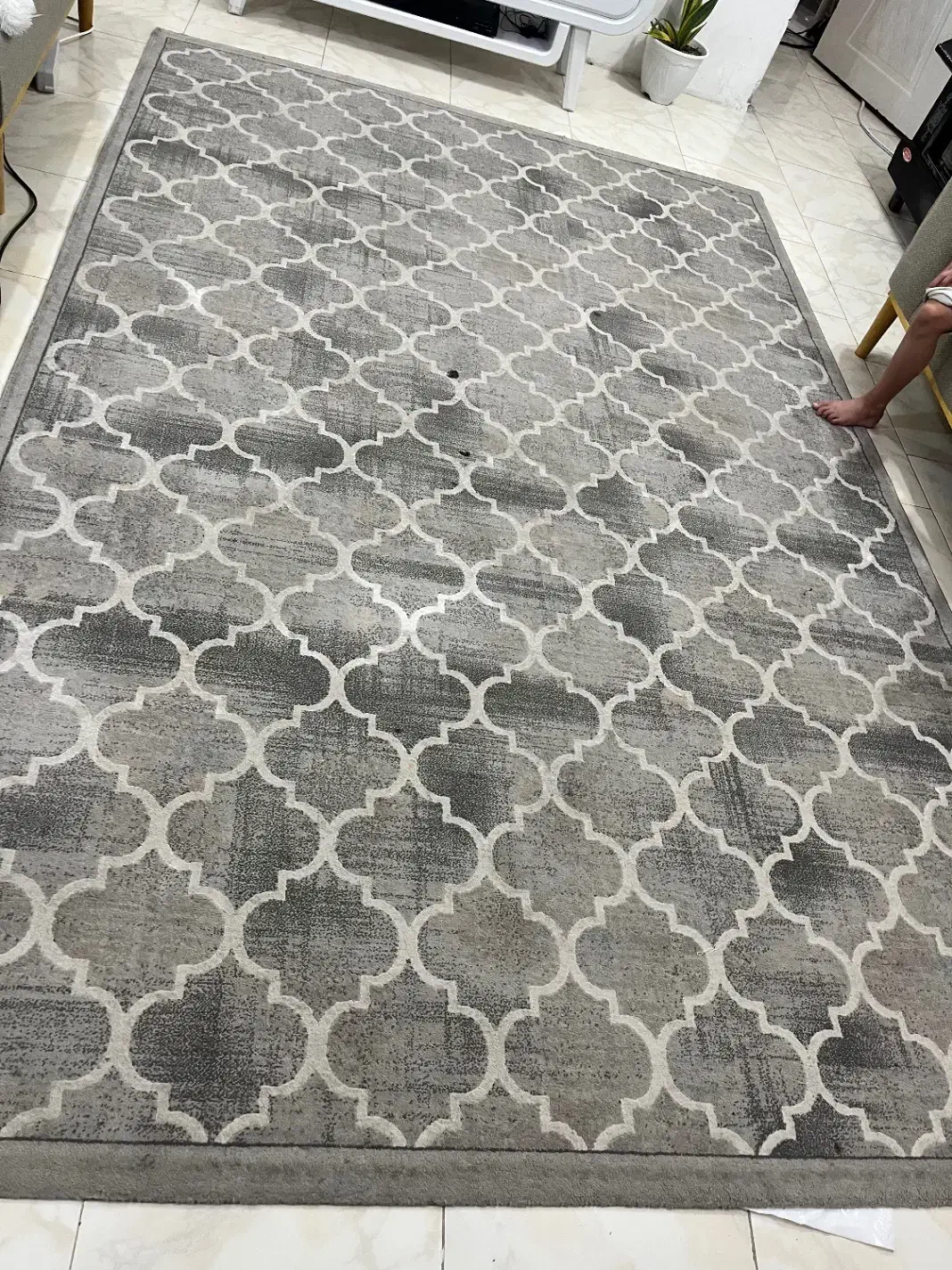 فرش|فرش|رشت, معلولین|دیوار