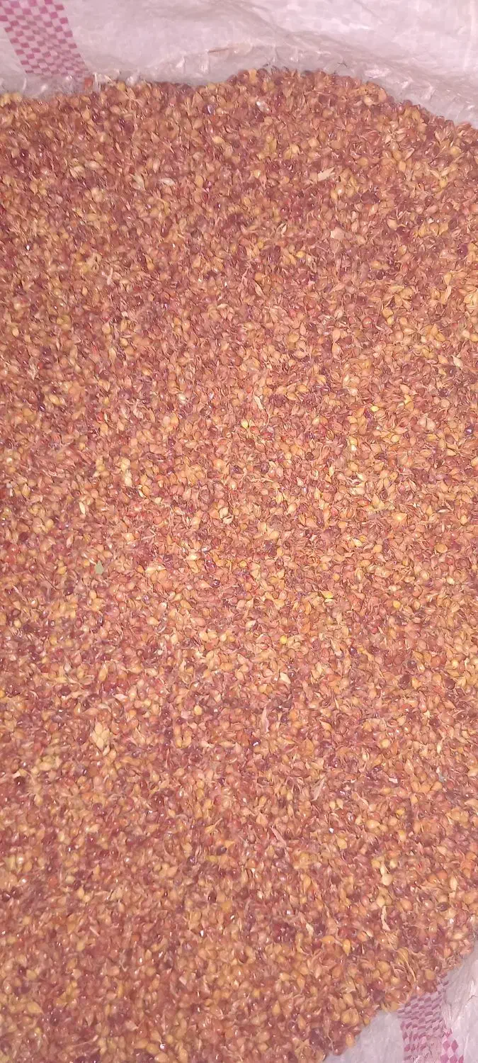 دان جارو|لوازم جانبی حیوانات|میانه, |دیوار