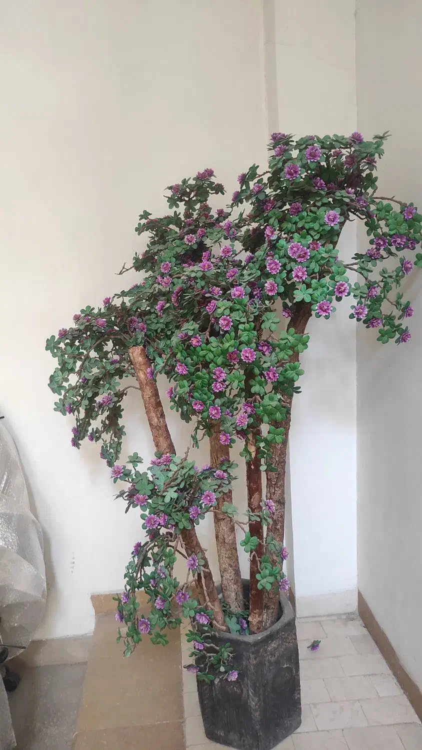 درختچه مصنوعی و طبیعی|گل مصنوعی|شیراز, آزادگان|دیوار