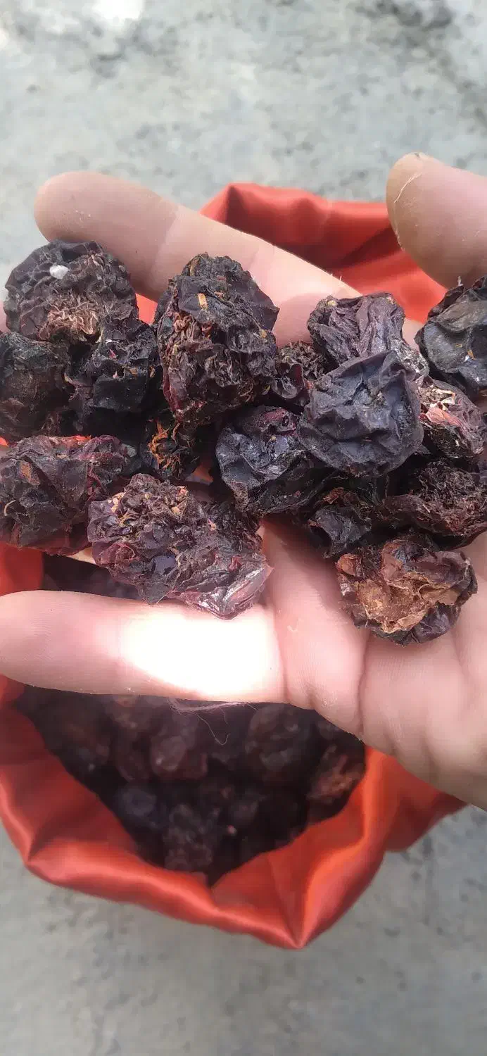 الو سیاه|خوردنی و آشامیدنی|محمدبار, |دیوار