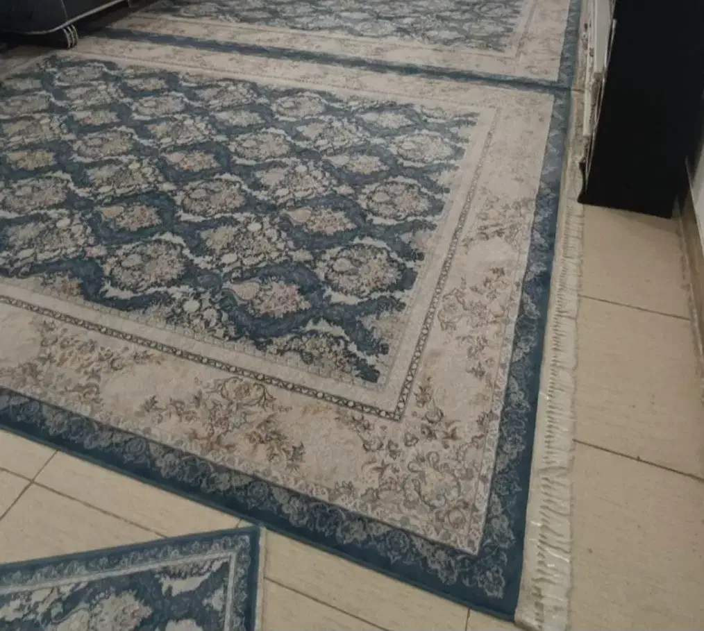 فرش ۹متری ۱۲۰۰شانه سالم سالمه|فرش|قرچک, مهدیه|دیوار