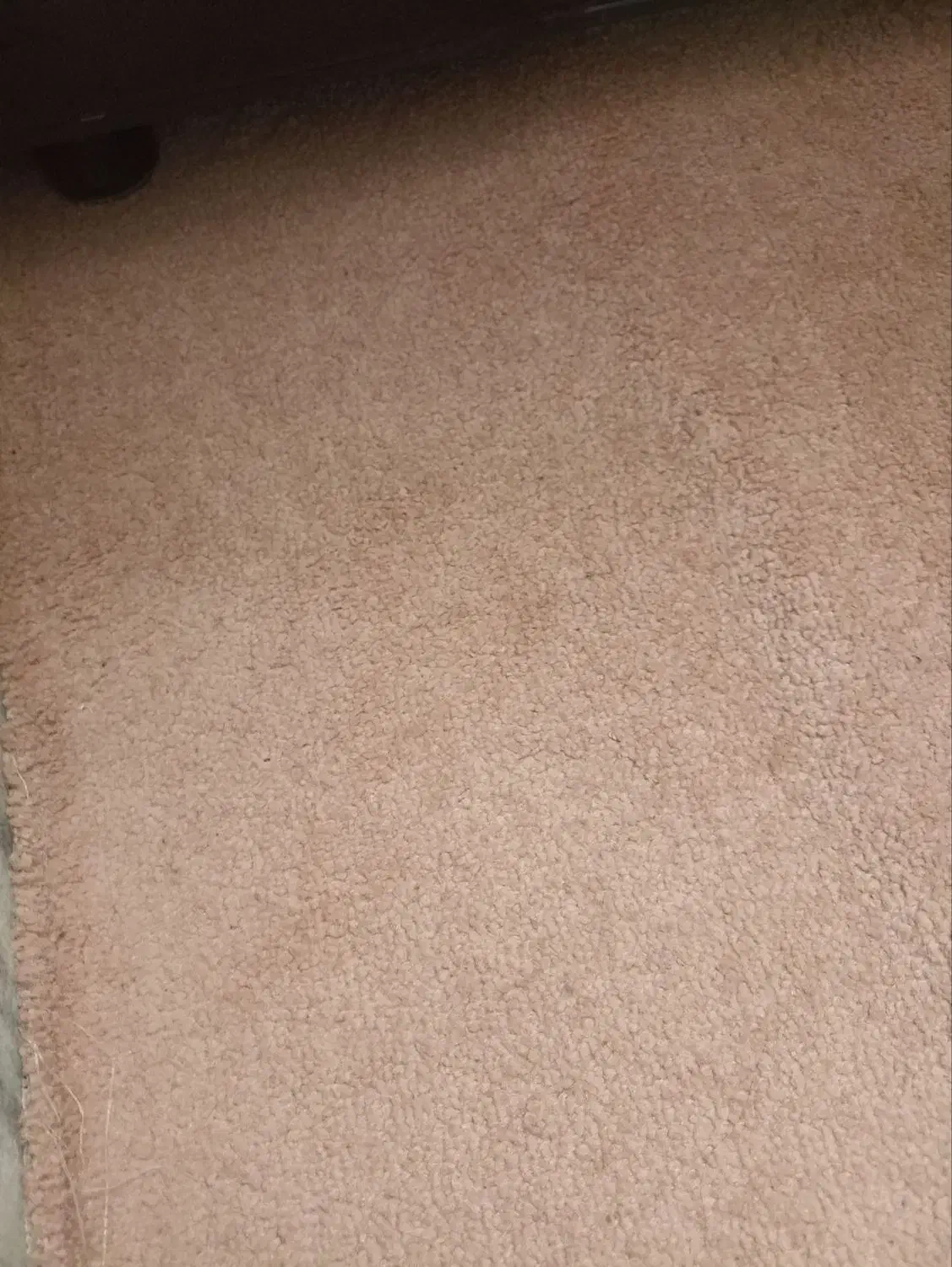 موکت|موکت|گرگان, |دیوار