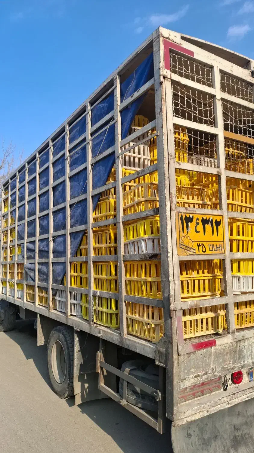 اتاق مرغی ایسوزو هشت تن|خودرو سنگین|مرند, |دیوار