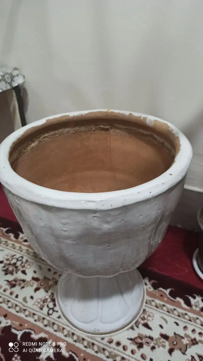 گلدان سفالی|گل و گیاه طبیعی|خرمشهر, |دیوار