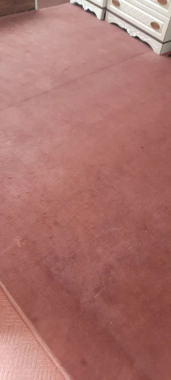 گلیم و پالاز موکت|گلیم، جاجیم، گبه|یزد, |دیوار