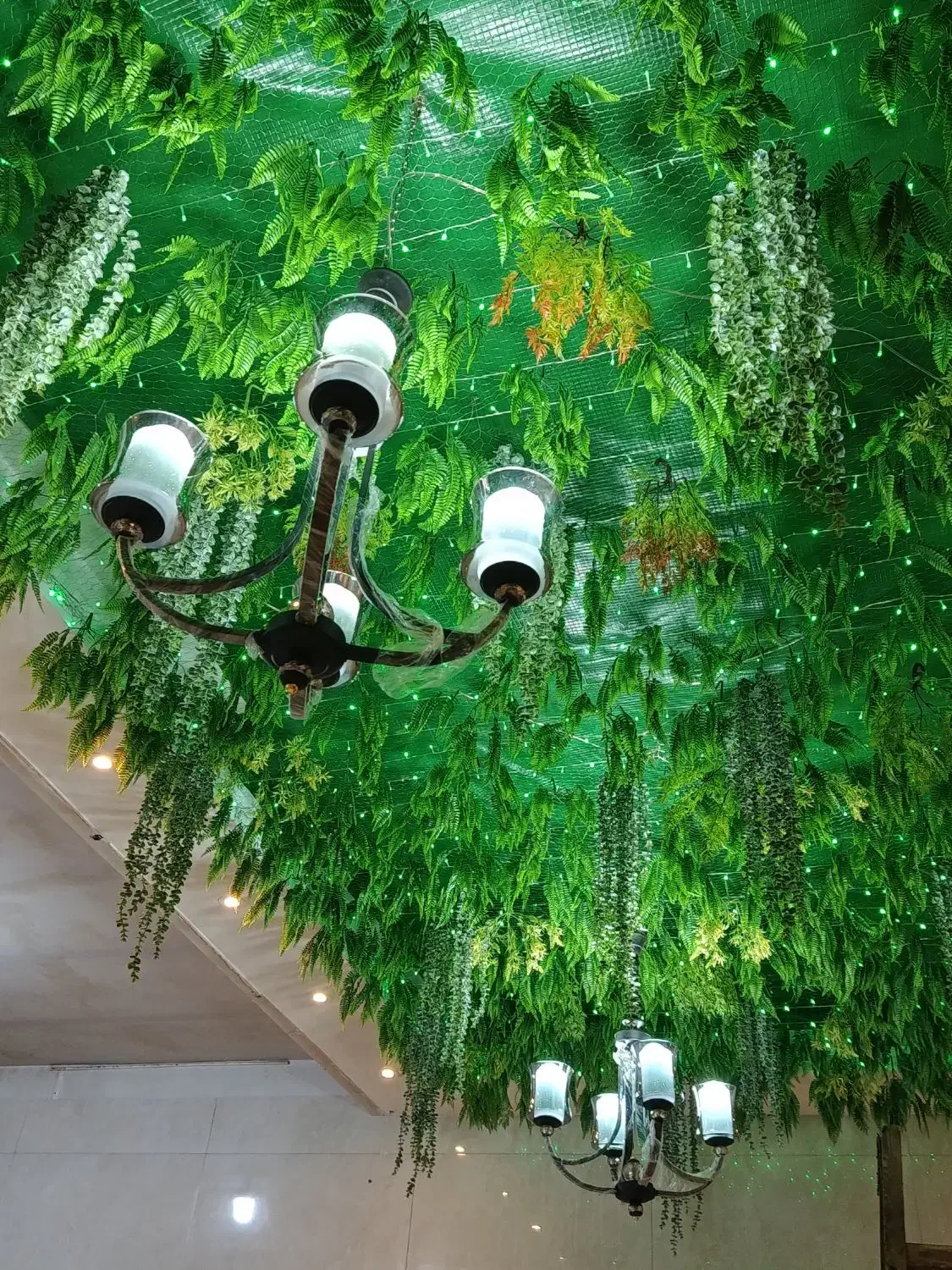 دو عدد لوستر نو نو|لوستر و چراغ آویز|تبریز, |دیوار