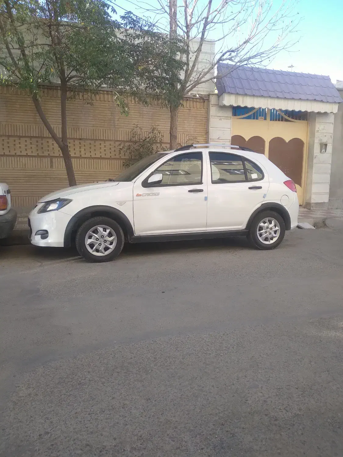 خودروجهت کار|فعالیت داوطلبانه|تربت‌حیدریه, باغ ملی|دیوار