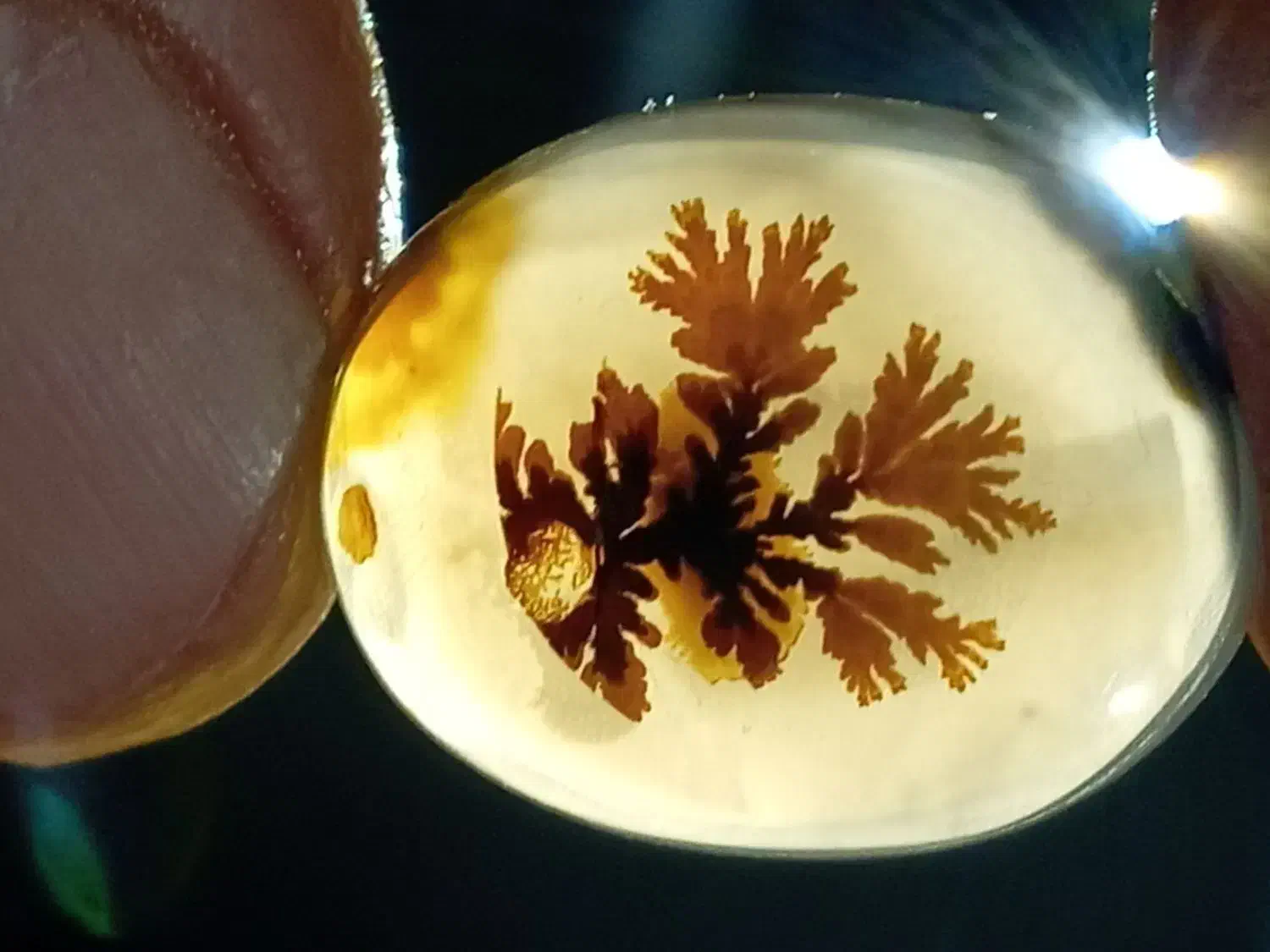 نگین شجرقائن|زیورآلات و اکسسوری|تربتحیدریه, طالقانی|دیوار