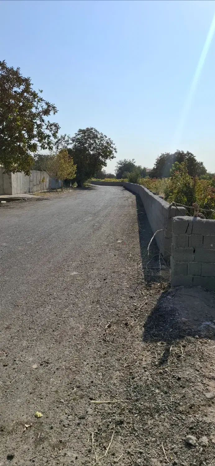 باغ باغچه ۳۰۰ تا ۱۰۰۰ متری|فروش زمین و ملک کلنگی|رباطکریم, پیغمبر|دیوار