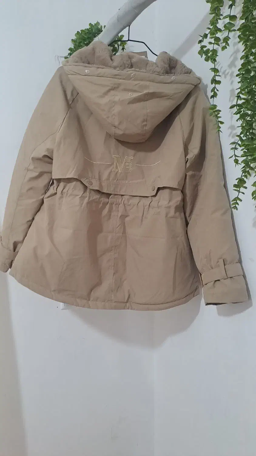 پوشیده نشده .ارزان|لباس|تالش, هشتپر|دیوار