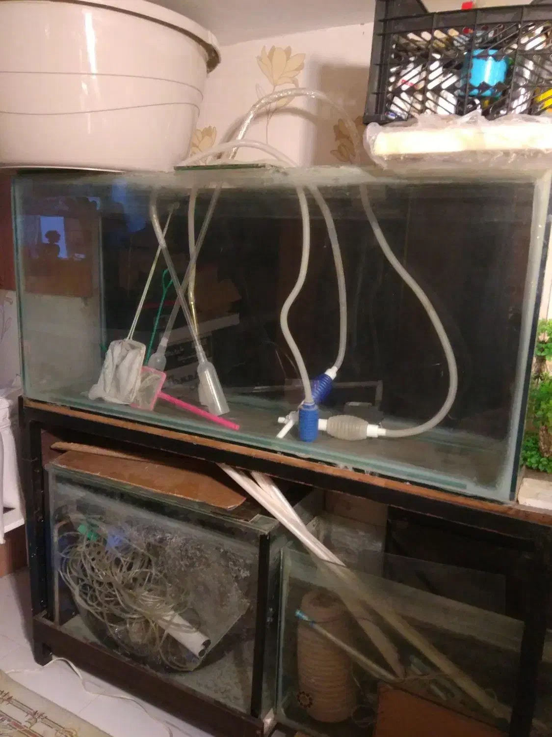 چند عدد آکواریوم|ماهی|تهران, گلاب دره|دیوار