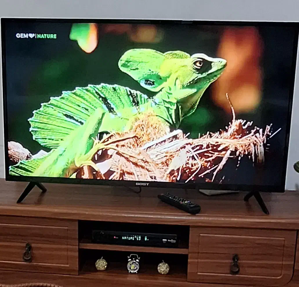 تلویزیون|تلویزیون و پروژکتور|اردبیل, |دیوار