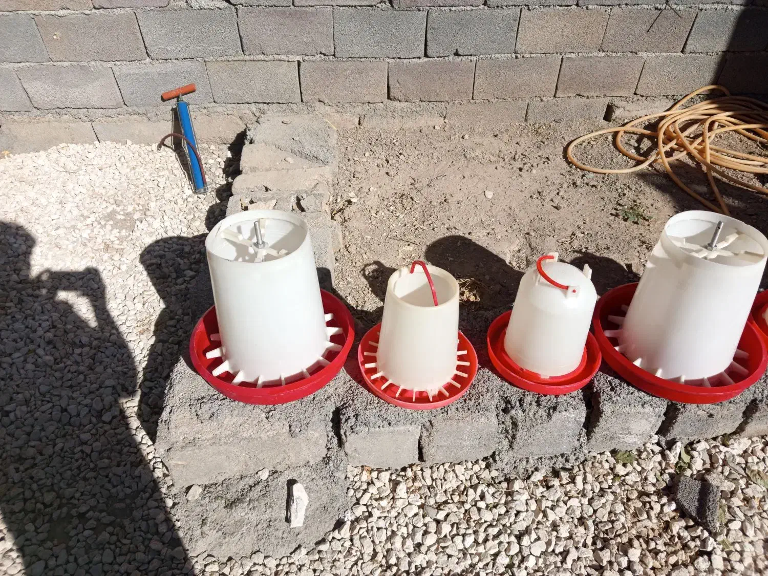 دونخوری و آبخوری|لوازم جانبی حیوانات|کبودرآهنگ, |دیوار