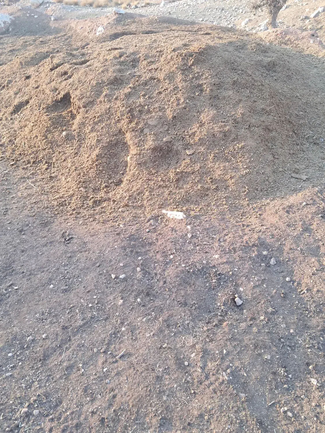 کود|لوازم جانبی حیوانات|معمولان, |دیوار