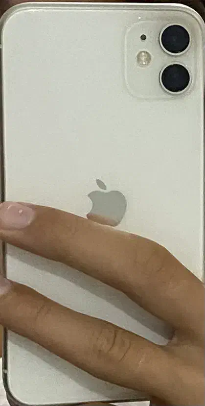 آیفون 11 سفید|موبایل|رشت, شهرک احمد خمینی|دیوار