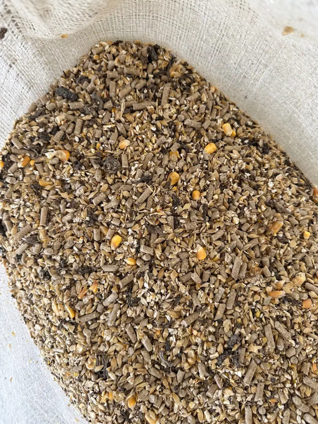 خوراک دام اجیلی مناسب پروار بندی و داشتی|لوازم جانبی حیوانات|مراوه, |دیوار