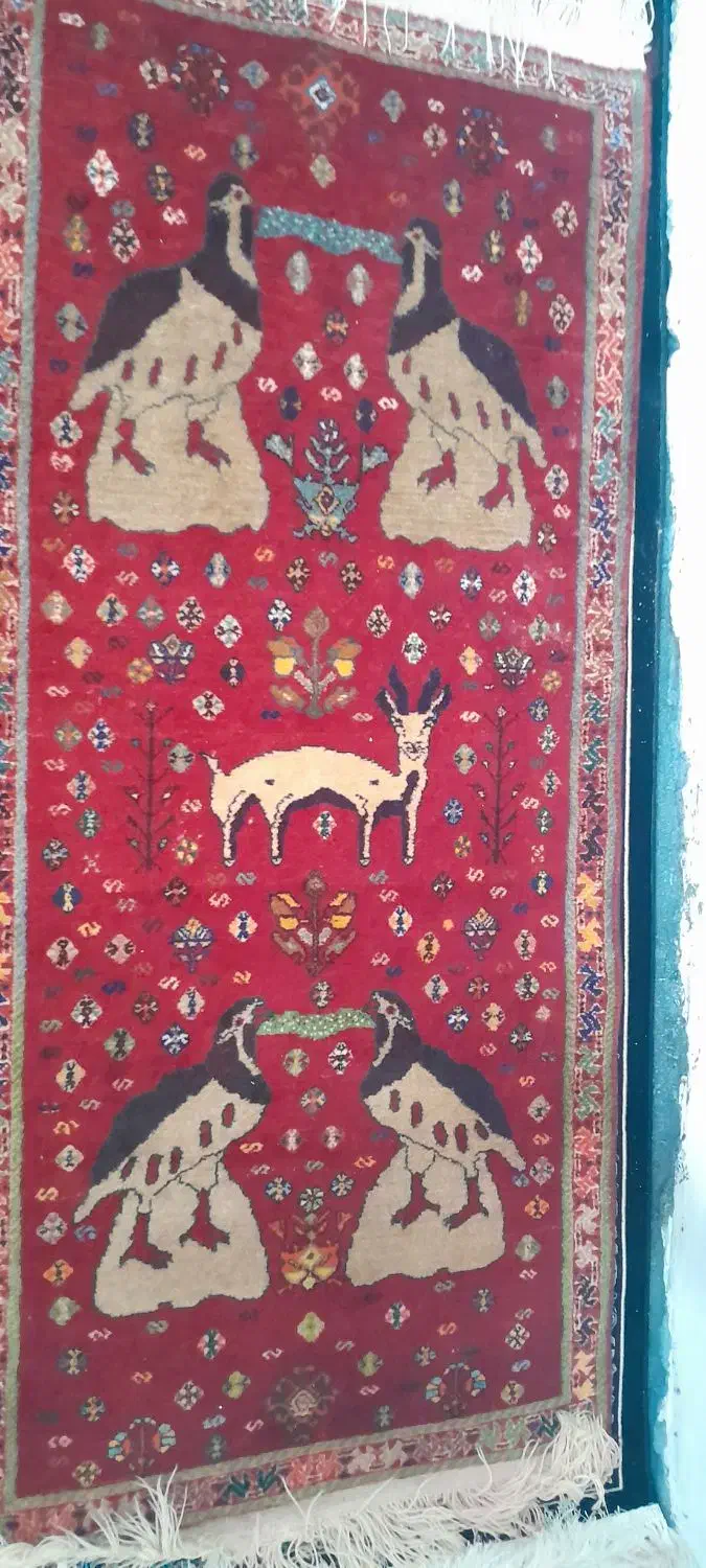 قالیچه دست بافت|فرش|مرودشت, ده بید|دیوار