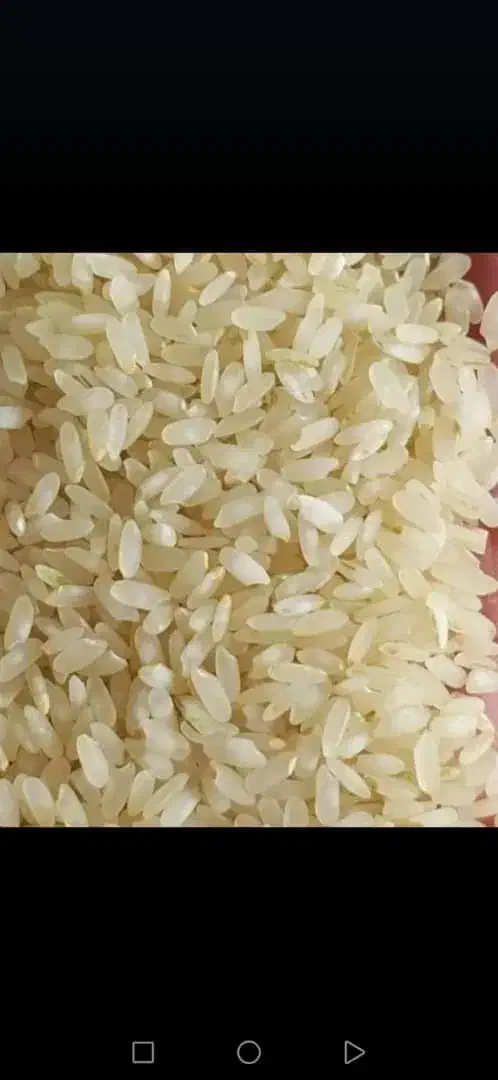 برنج محلی درجه یک|خوردنی و آشامیدنی|مرودشت, ژیان|دیوار