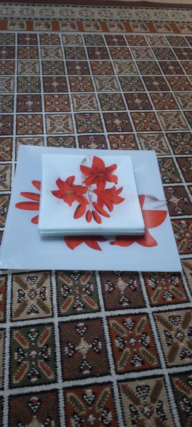 ظرف چند تیکه|ظروف سرو و پذیرایی|کرخه, |دیوار