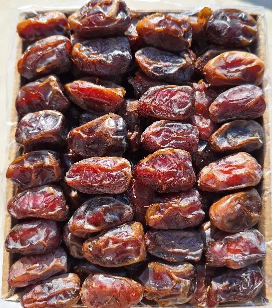 خرما کبکاب|خوردنی و آشامیدنی|وحدتیه, |دیوار