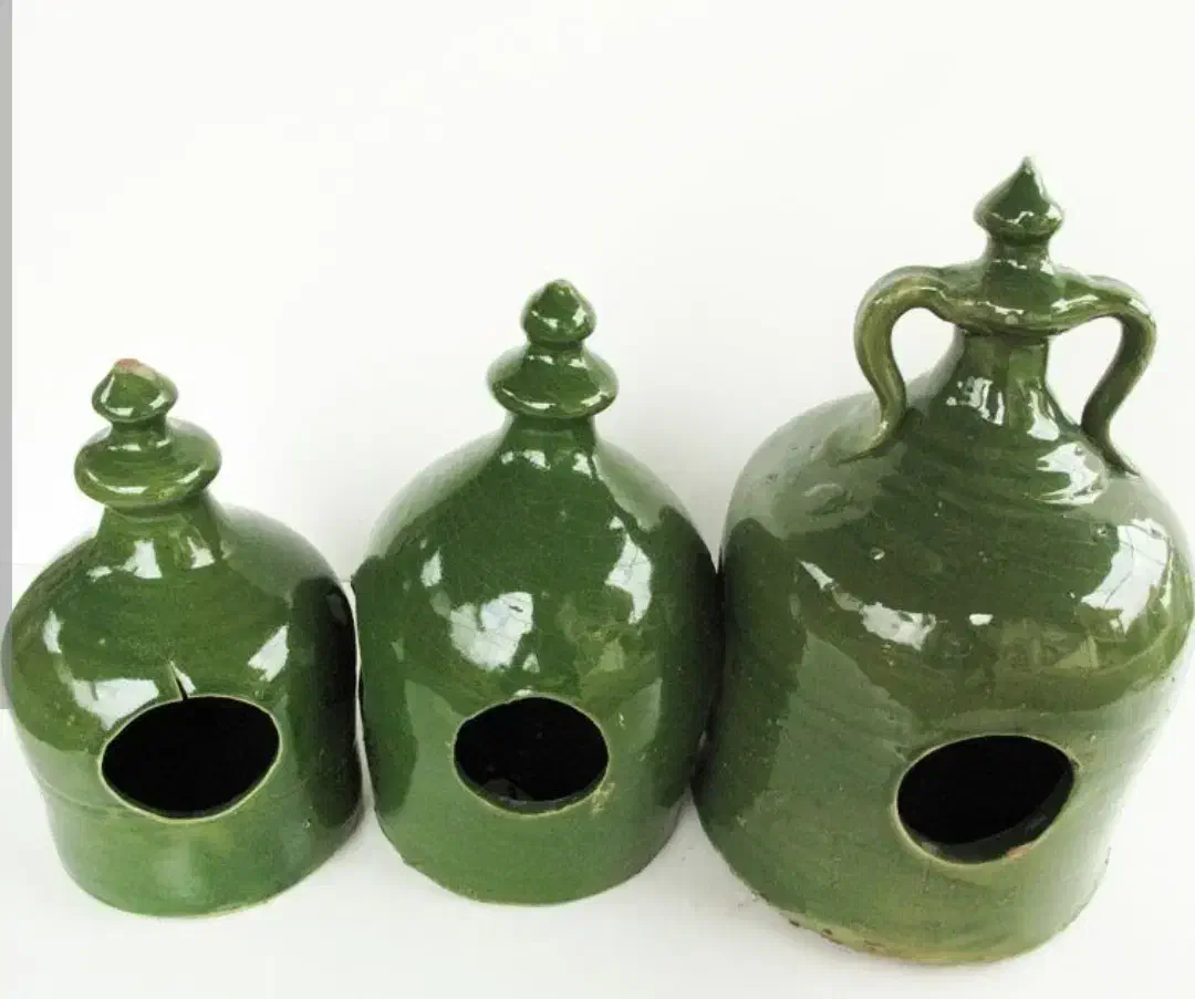 کفتر کبوتر|لوازم جانبی حیوانات|لاهیجان, کوی زمانی|دیوار