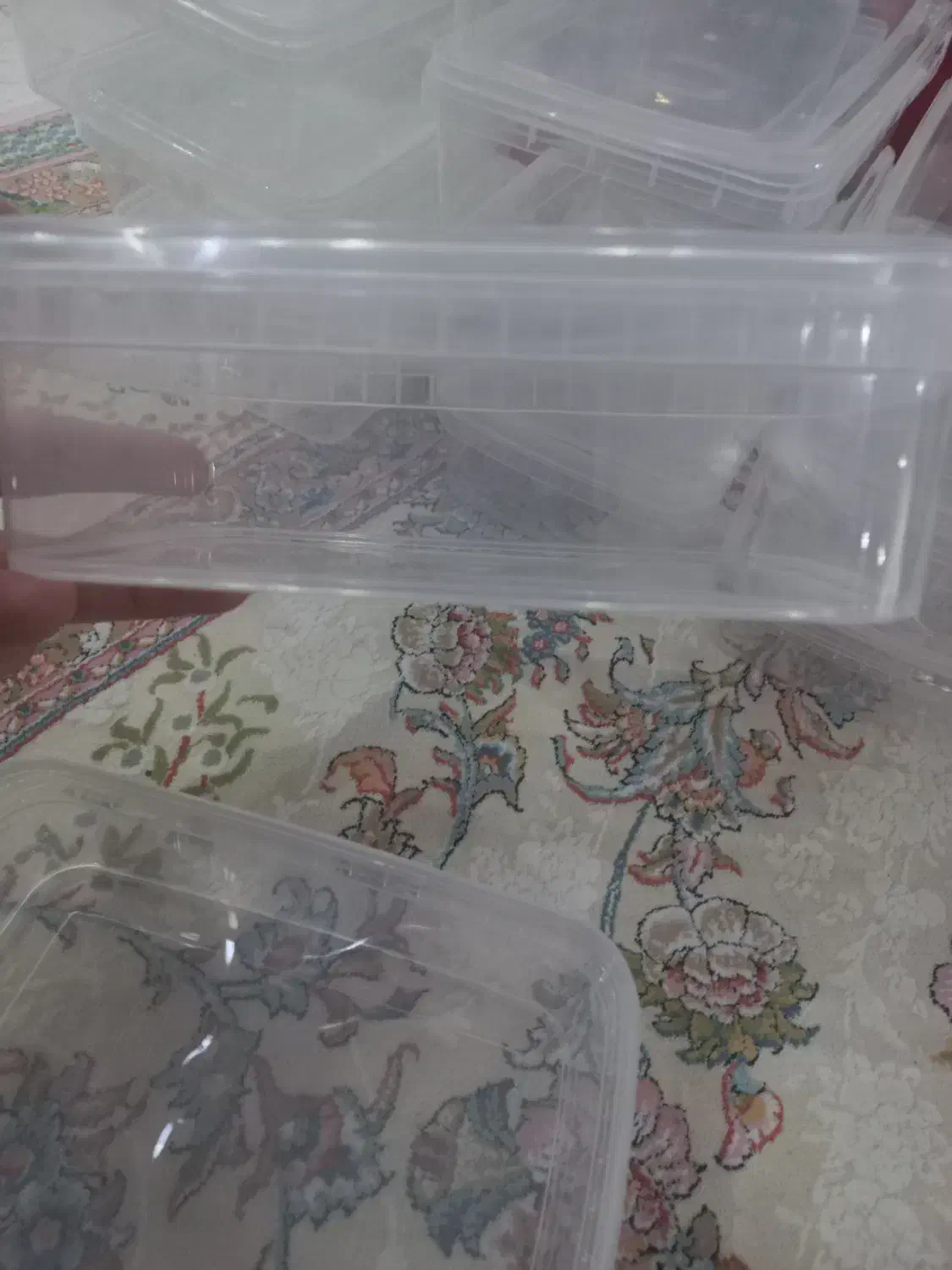 ظروف فریزری|ظروف نگهدارنده، پلاستیکی، یک‌بارمصرف|اهواز, فاز ۱ پادادشهر|دیوار