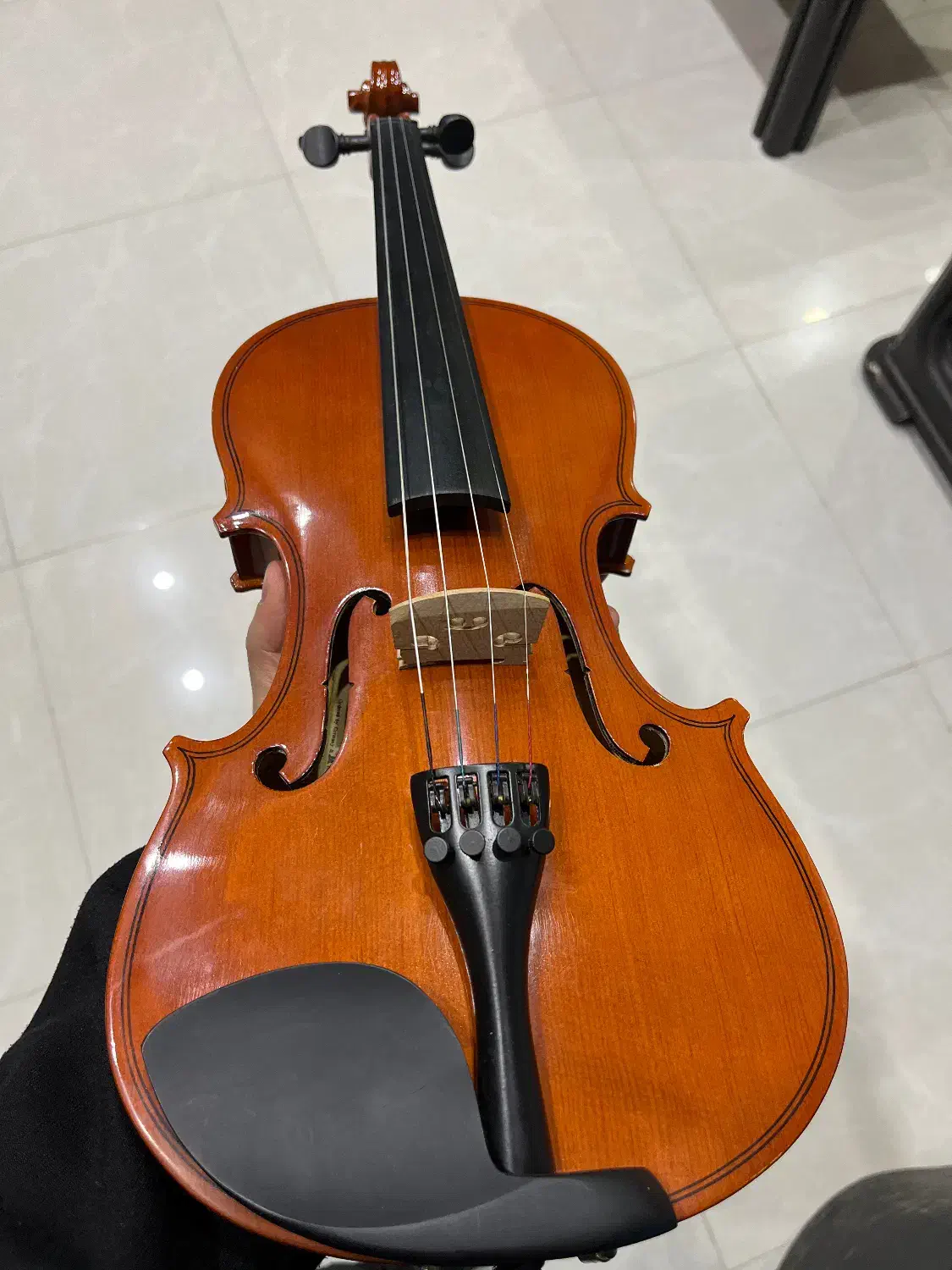 ویولن مندلسون|ویولن|کلاردشت, |دیوار