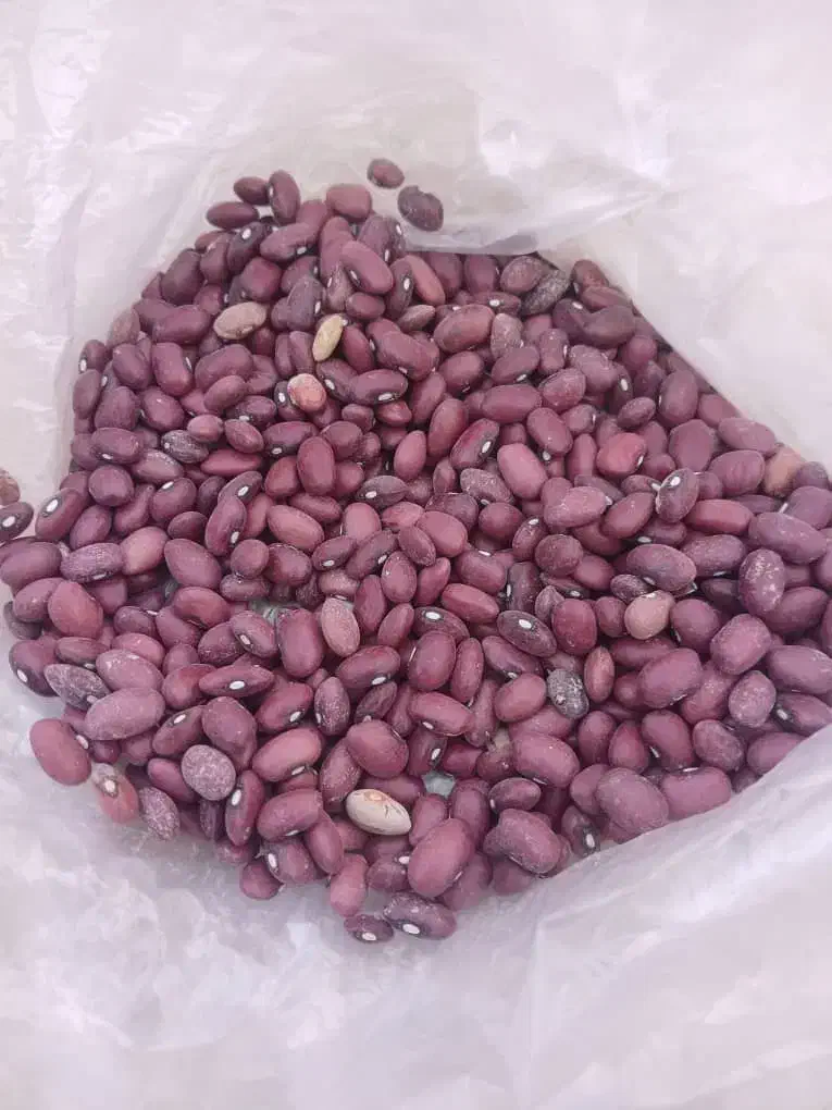 لوبیا چیتی درجه یک|خوردنی و آشامیدنی|اقلید, |دیوار