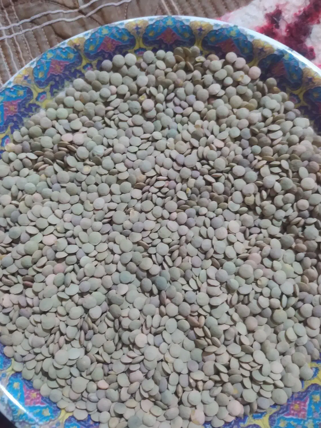 عدس1404|خوردنی و آشامیدنی|خواجه, |دیوار