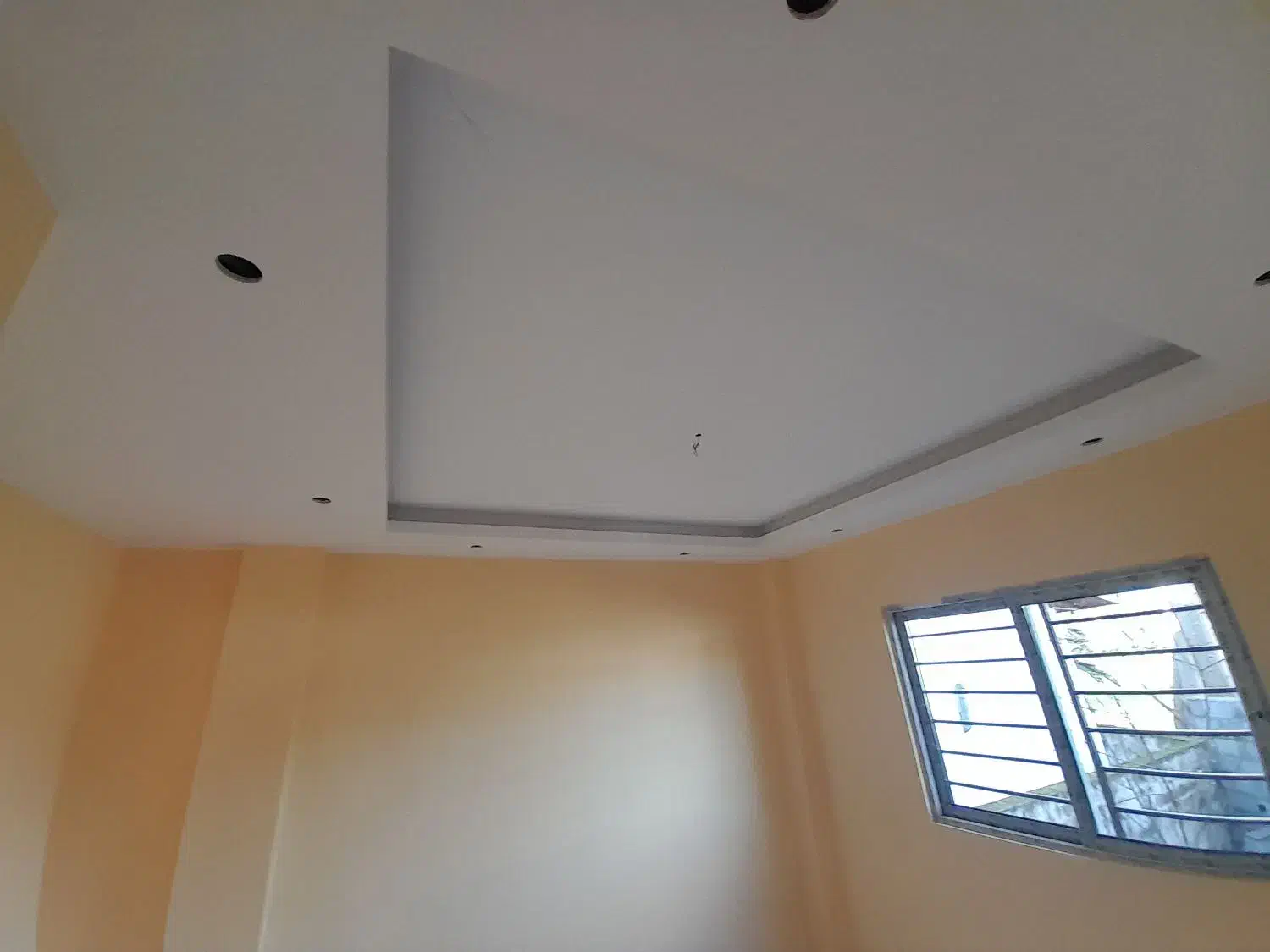 نقاشی ساختمان|خدمات پیشه و مهارت|رویان, |دیوار