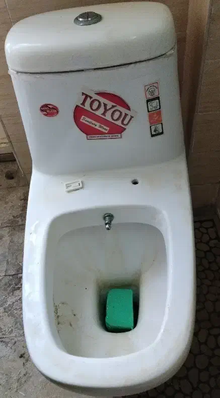 توالت فرنگی چینی خودشور|لوازم سرویس بهداشتی|خسروشاه, |دیوار