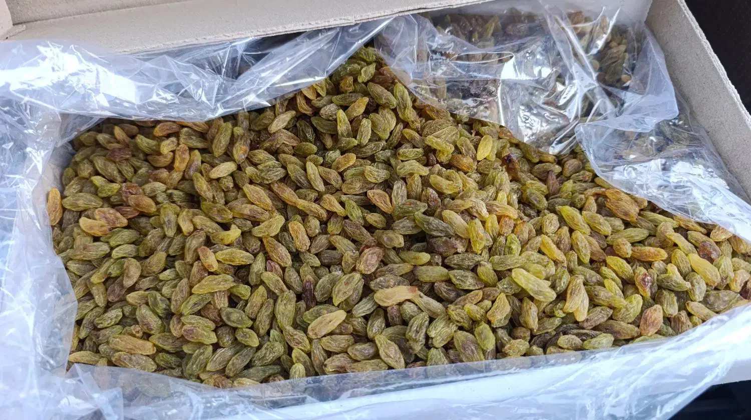 کشمش|خوردنی و آشامیدنی|سبزوار, فیاض|دیوار