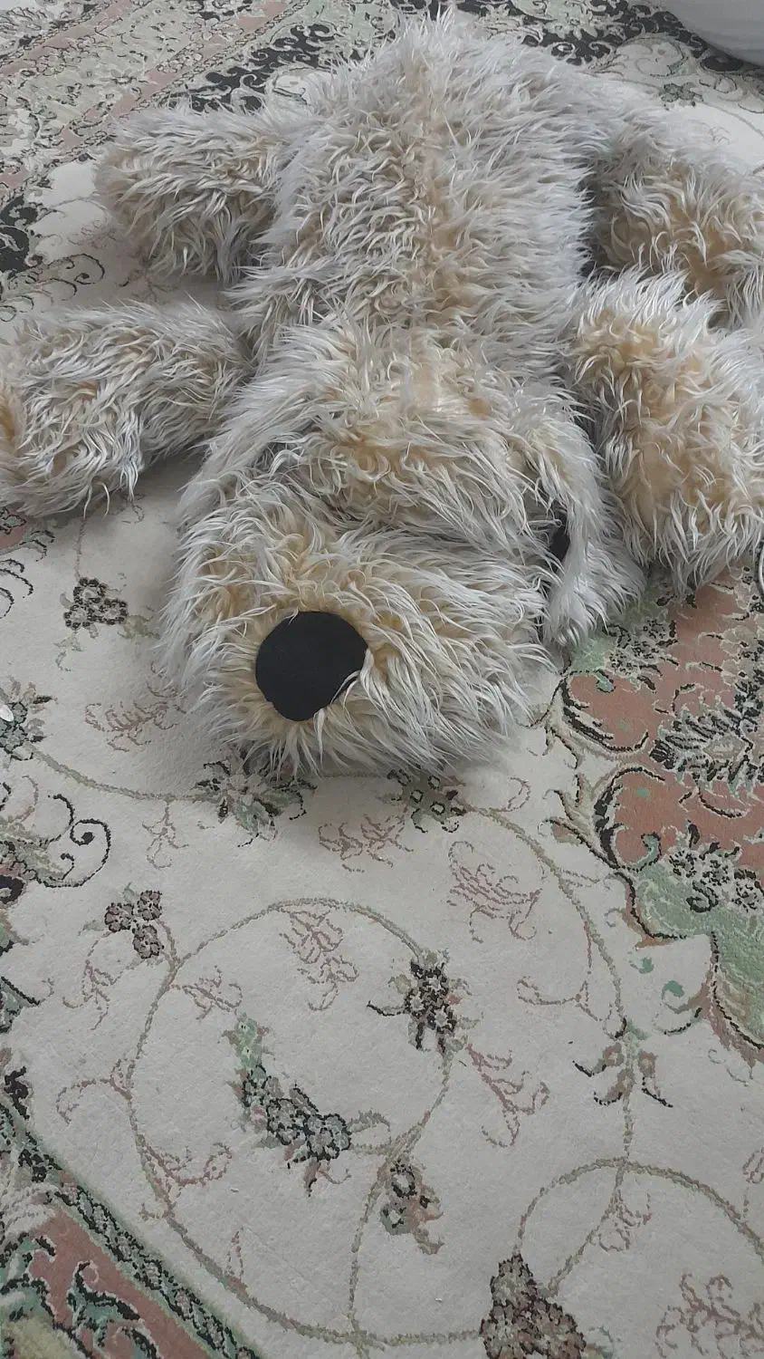 عروسک پشمالو|اسباب‌‌بازی|اسلام‌شهر, مظفریه|دیوار