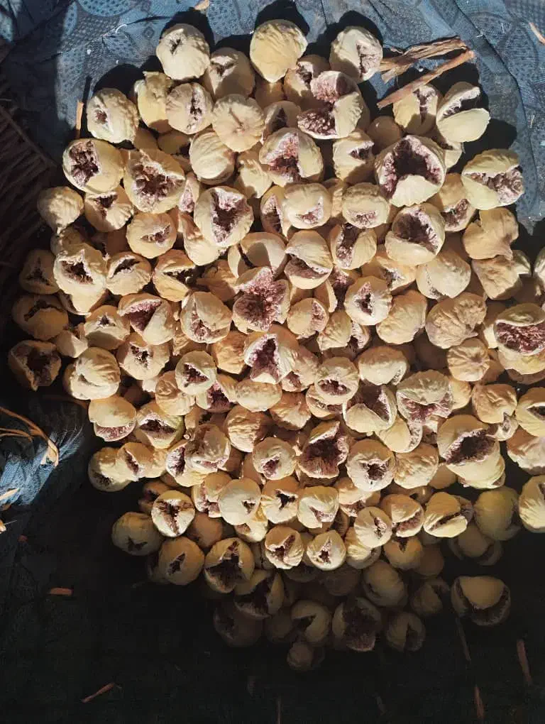 انجیر پرک|خوردنی و آشامیدنی|شیراز, شهرک ترکان|دیوار
