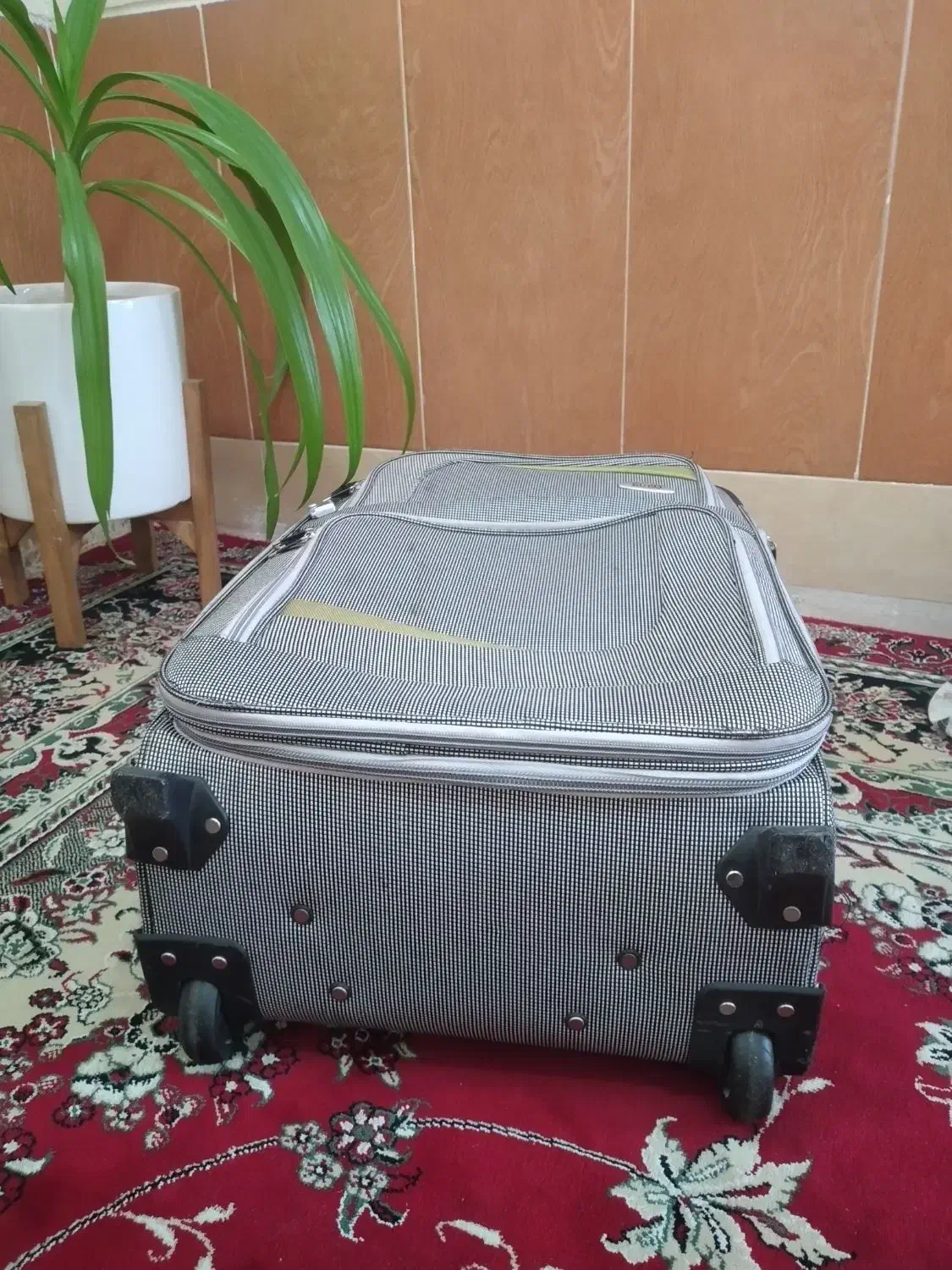 چمدان مسافرتی|کیف، کفش، کمربند|شیراز, شهرک کوشکک|دیوار