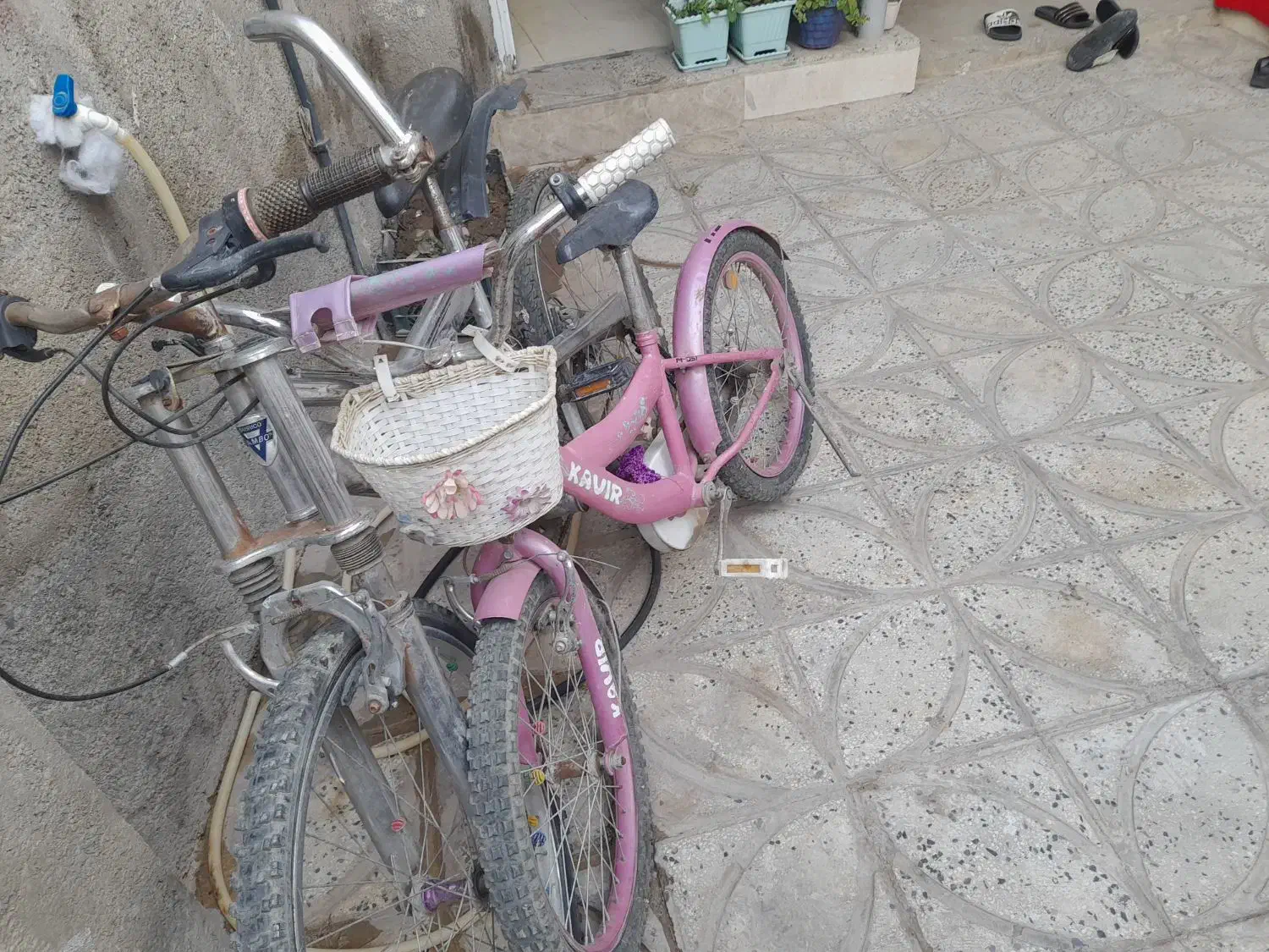 دوچرخه|دوچرخه، اسکیت، اسکوتر|ملایر, |دیوار