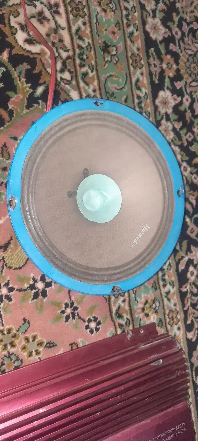 میدرنج فروشی|صوتی و تصویری|سنندج, |دیوار