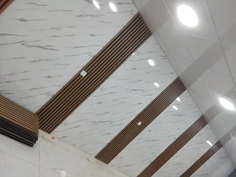 سقف کاذب|خدمات پیشه و مهارت|دوگنبدان, |دیوار