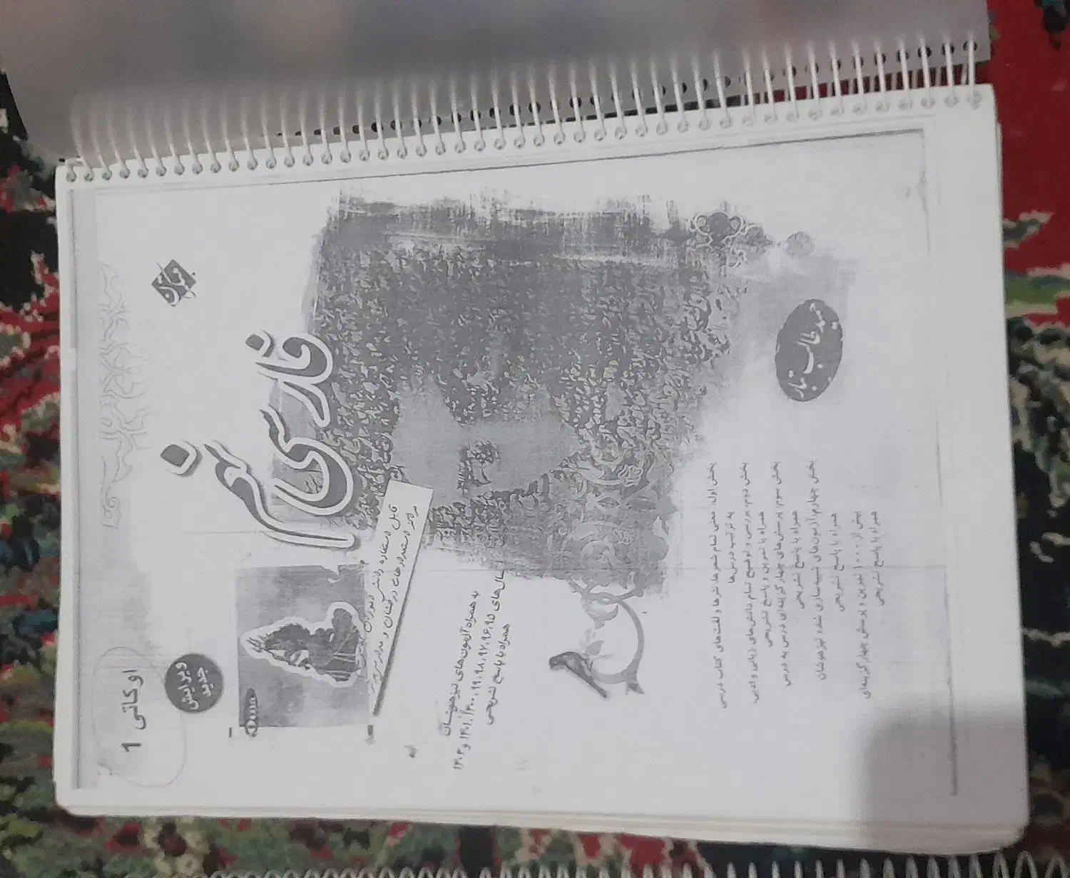 مبتکران نهم. ۳۱استان|کتاب و مجله ادبی|زابل, |دیوار