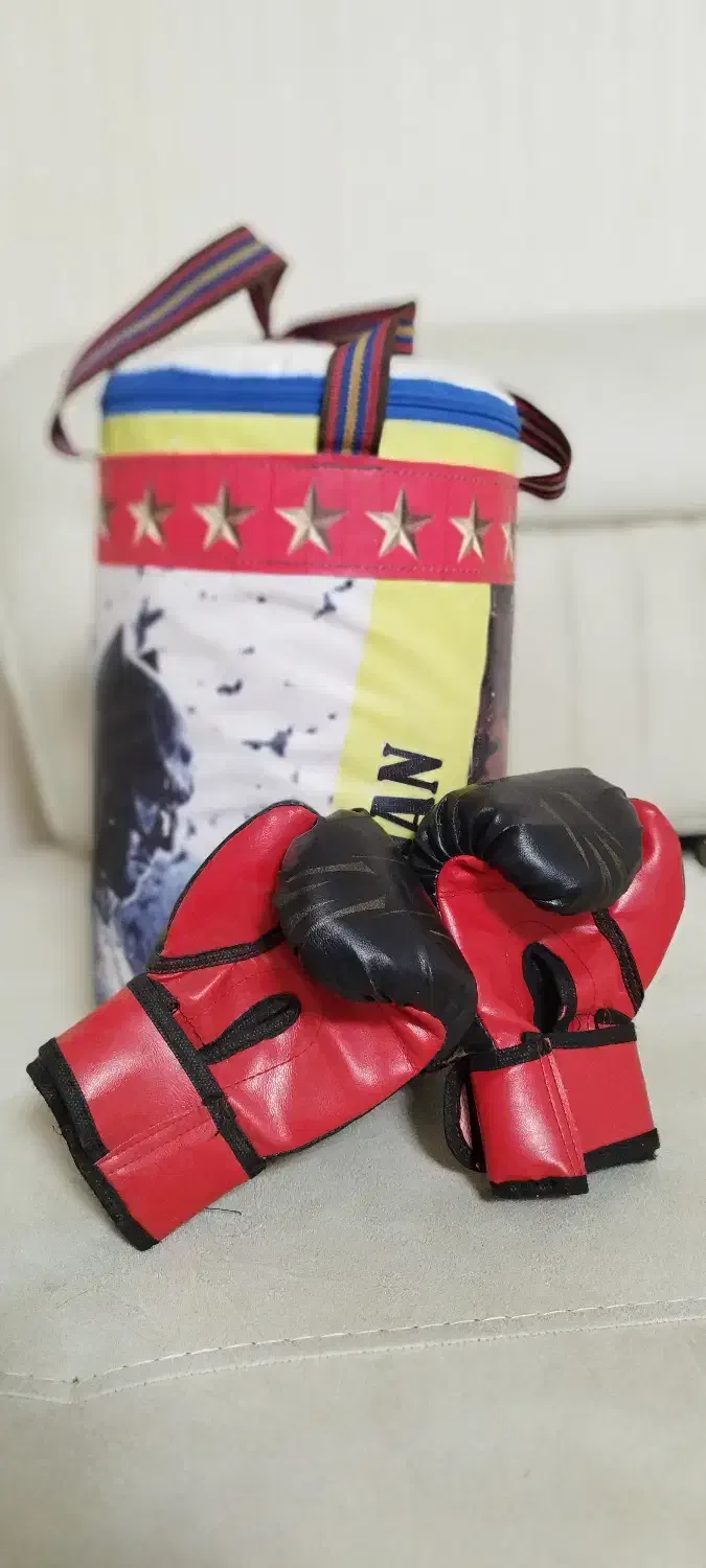 کیسه بوکس|تجهیزات ورزشی|شیراز, ارم|دیوار