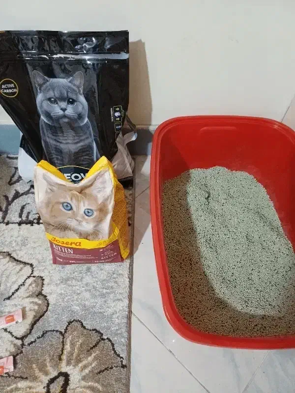 وسایل گربه|لوازم جانبی حیوانات|تهران, وحیدیه|دیوار