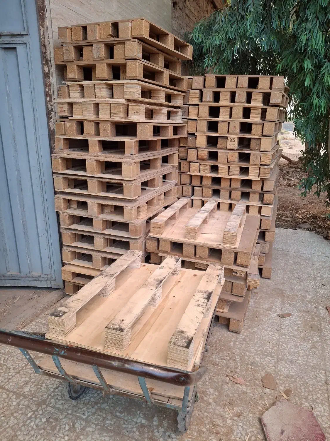 پالت چوبی و سرپالت|عمده‌فروشی|قم, آذر (نکویی)|دیوار