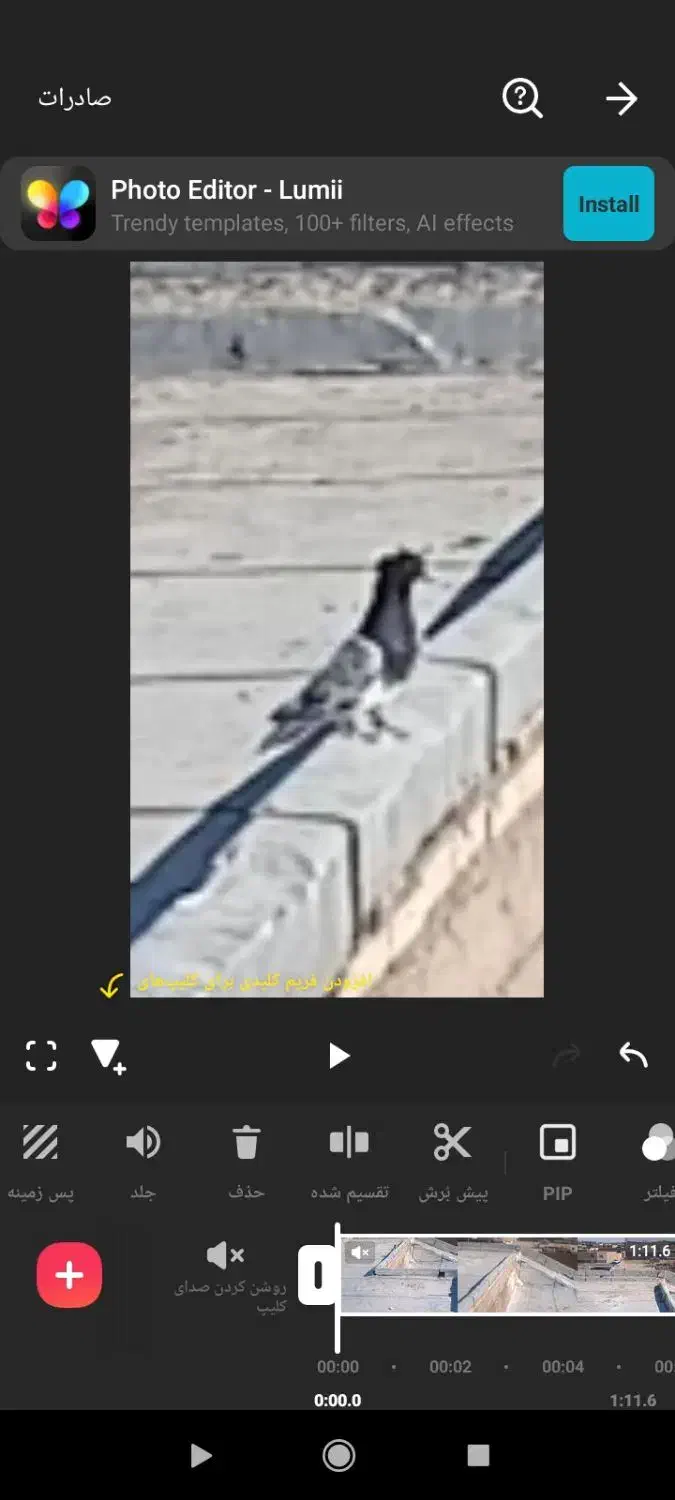 سلام سرسیاه نر فیلم پریندشم|پرنده|گلباف, |دیوار