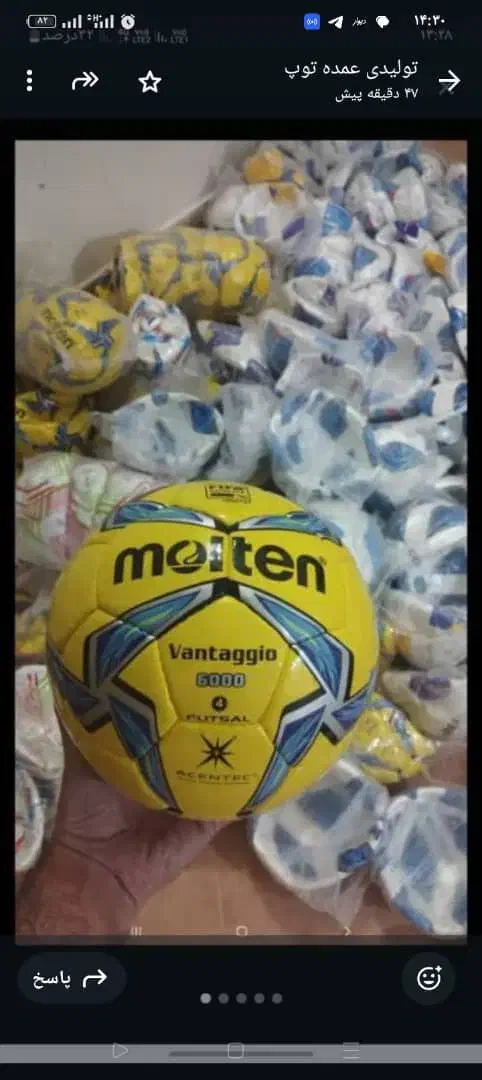 تولید و پخش توپ های پاکستانی|ورزشهای توپی|رباطکریم, نصیرشهر|دیوار