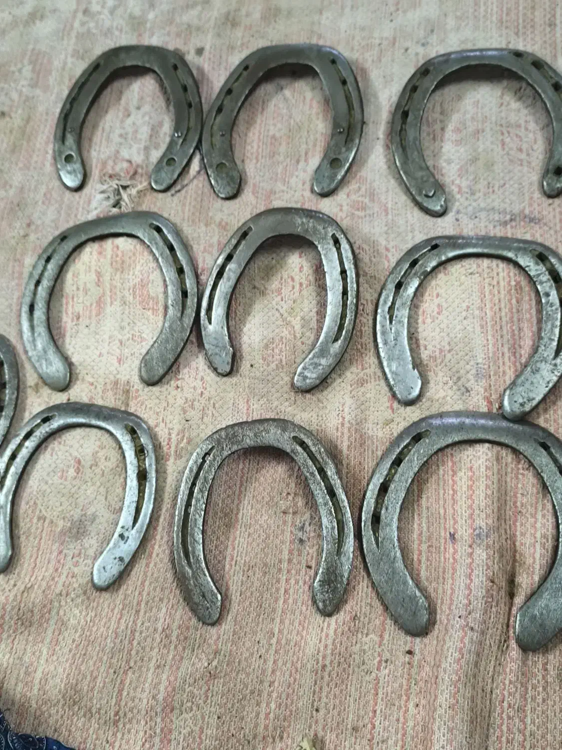 نعل اسب|اسب و تجهیزات اسب‌سواری|زابل, |دیوار