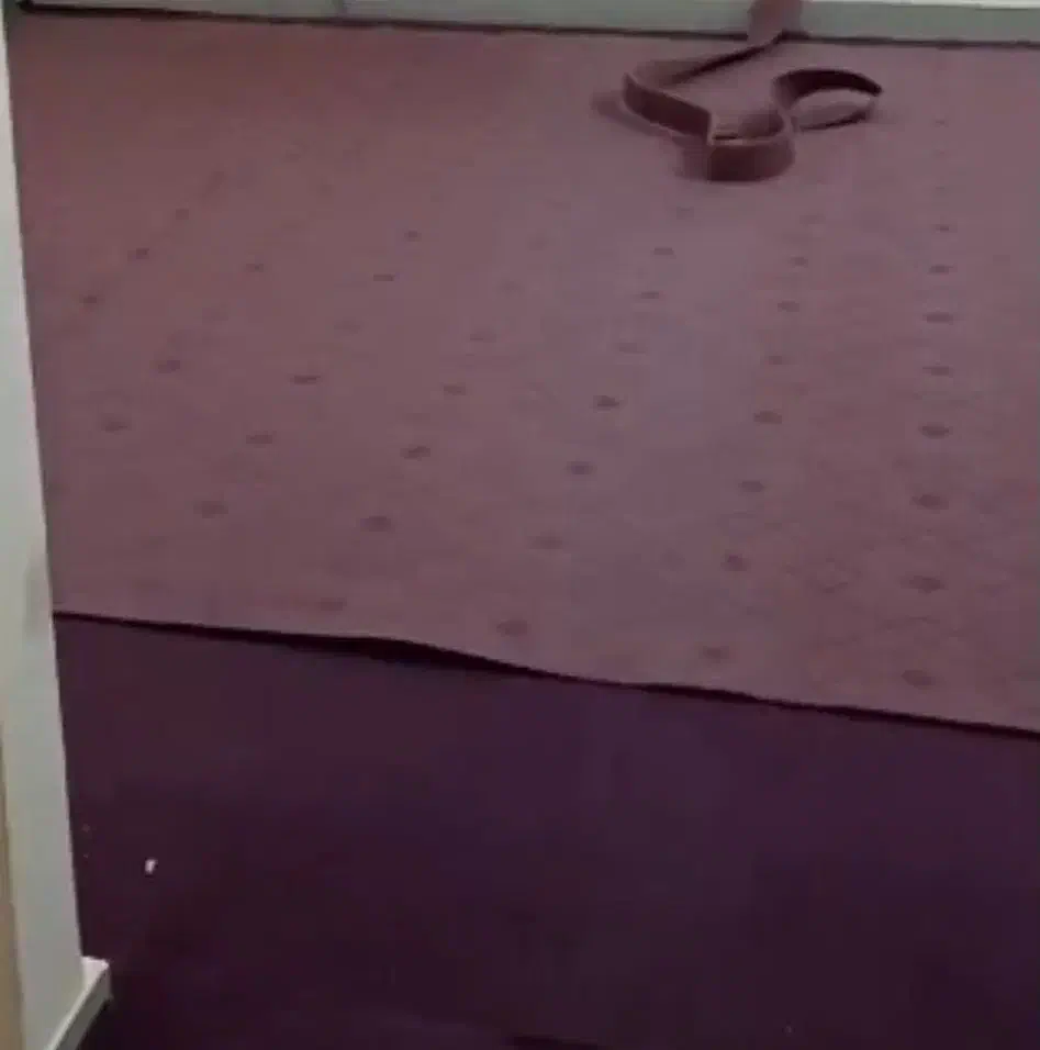 موکت|موکت|قم, پردیسان|دیوار