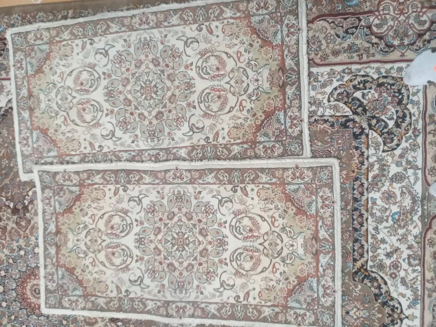 یک جفت پادری|پادری|تهران, شهرک طالقانی|دیوار